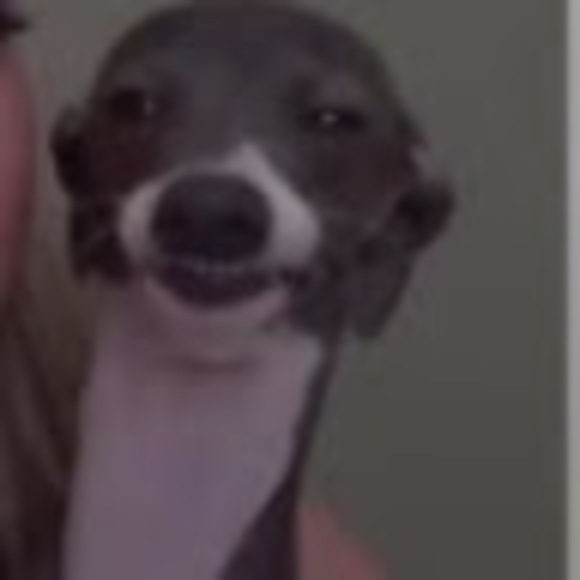 buddyrob08